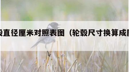 轮毂直径厘米对照表图（轮毂尺寸换算成厘米）