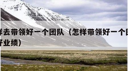 怎样去带领好一个团队（怎样带领好一个团队做好业绩）