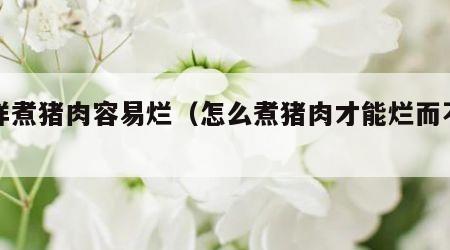 怎样煮猪肉容易烂（怎么煮猪肉才能烂而不柴）