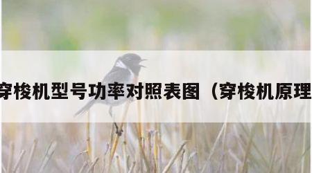 穿梭机型号功率对照表图（穿梭机原理）