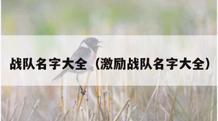 战队名字大全（激励战队名字大全）