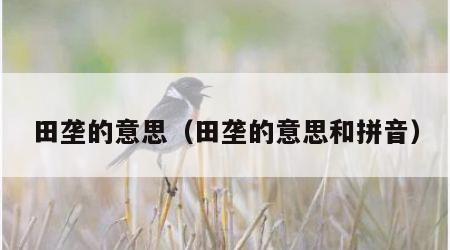 田垄的意思（田垄的意思和拼音）