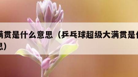 大满贯是什么意思（乒乓球超级大满贯是什么意思）