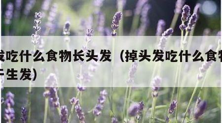 掉发吃什么食物长头发（掉头发吃什么食物有利于生发）