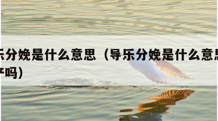 导乐分娩是什么意思（导乐分娩是什么意思破腹产吗）