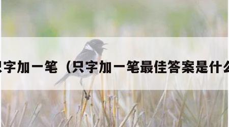 只字加一笔（只字加一笔最佳答案是什么）