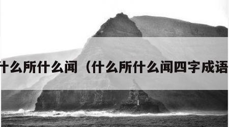 什么所什么闻（什么所什么闻四字成语）