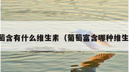 葡萄含有什么维生素（葡萄富含哪种维生素）