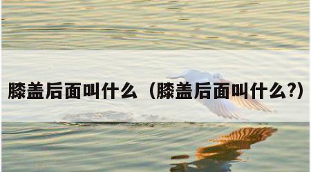 膝盖后面叫什么（膝盖后面叫什么?）