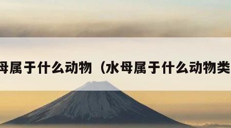 水母属于什么动物（水母属于什么动物类型）