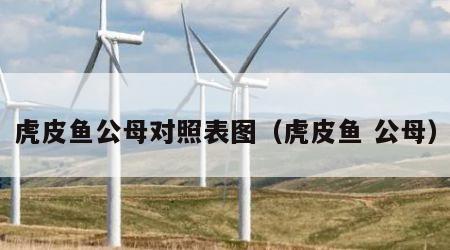 虎皮鱼公母对照表图（虎皮鱼 公母）