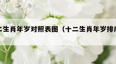 十二生肖年岁对照表图（十二生肖年岁排序表）