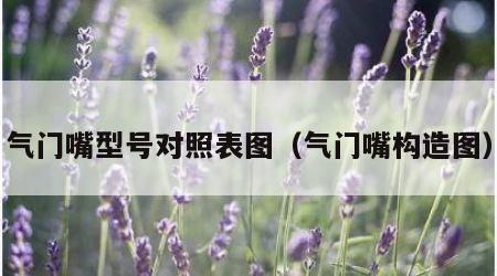 气门嘴型号对照表图（气门嘴构造图）