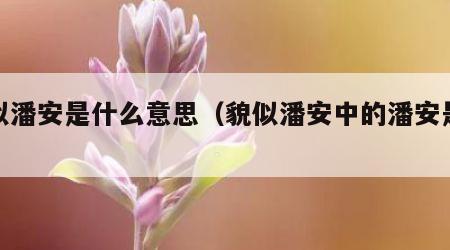 貌似潘安是什么意思（貌似潘安中的潘安是谁）