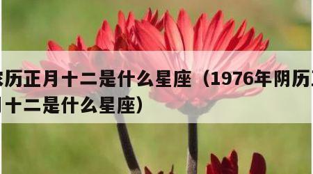 农历正月十二是什么星座（1976年阴历五月十二是什么星座）