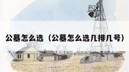 公墓怎么选（公墓怎么选几排几号）