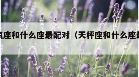 水瓶座和什么座最配对（天秤座和什么座最配对）