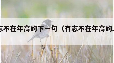 有志不在年高的下一句（有志不在年高的上一句）
