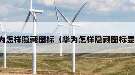 华为怎样隐藏图标（华为怎样隐藏图标显示）