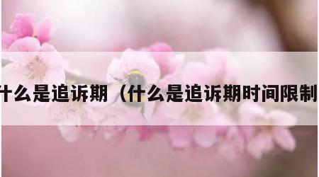 什么是追诉期（什么是追诉期时间限制）