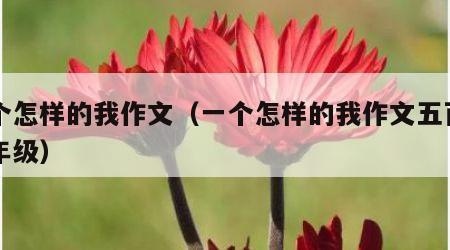 一个怎样的我作文（一个怎样的我作文五百字四年级）