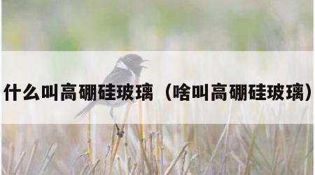 什么叫高硼硅玻璃（啥叫高硼硅玻璃）