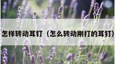 怎样转动耳钉（怎么转动刚打的耳钉）