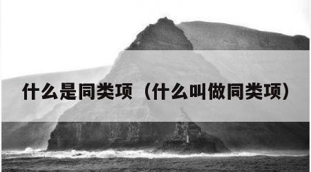 什么是同类项（什么叫做同类项）