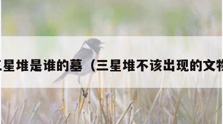 三星堆是谁的墓（三星堆不该出现的文物）