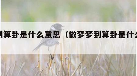 梦到算卦是什么意思（做梦梦到算卦是什么意思）