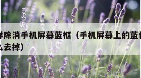怎样除消手机屏幕蓝框（手机屏幕上的蓝色框怎么去掉）