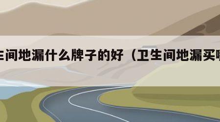 卫生间地漏什么牌子的好（卫生间地漏买哪款好）