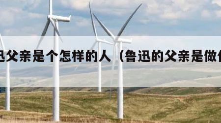 鲁迅父亲是个怎样的人（鲁迅的父亲是做什么的）