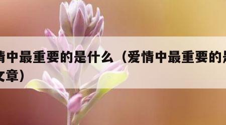 爱情中最重要的是什么（爱情中最重要的是什么文章）