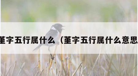 堇字五行属什么（堇字五行属什么意思）
