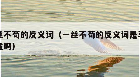 一丝不苟的反义词（一丝不苟的反义词是马马虎虎吗）