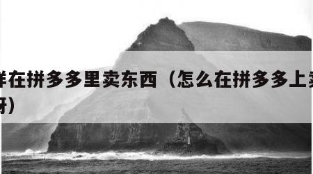 怎样在拼多多里卖东西（怎么在拼多多上卖东西呀）