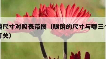 眼镜尺寸对照表带图（眼镜的尺寸与哪三个尺寸有关）