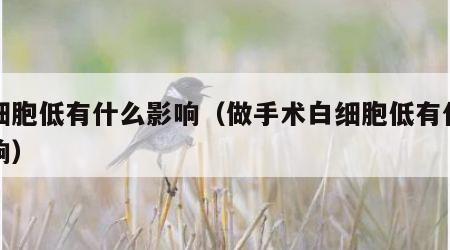 白细胞低有什么影响（做手术白细胞低有什么影响）