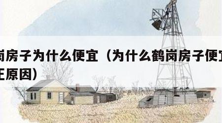 鹤岗房子为什么便宜（为什么鹤岗房子便宜的真正原因）