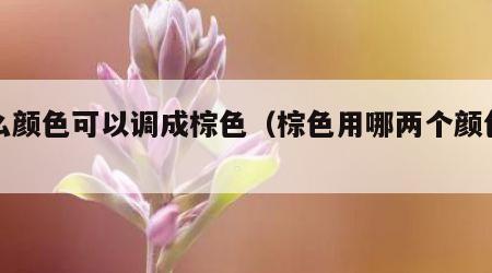 什么颜色可以调成棕色（棕色用哪两个颜色调）