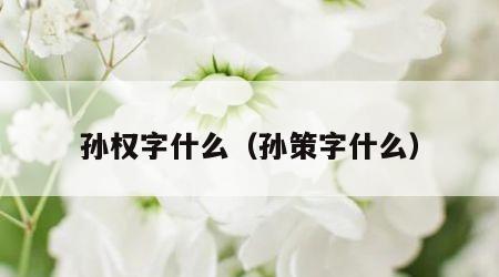 孙权字什么（孙策字什么）