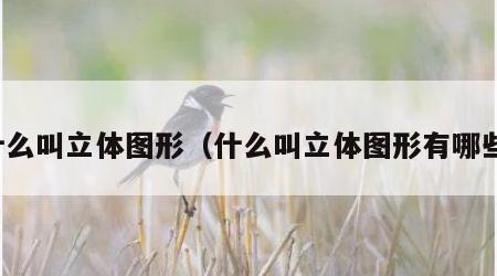 什么叫立体图形（什么叫立体图形有哪些）