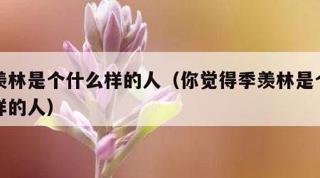 季羡林是个什么样的人（你觉得季羡林是个什么样的人）