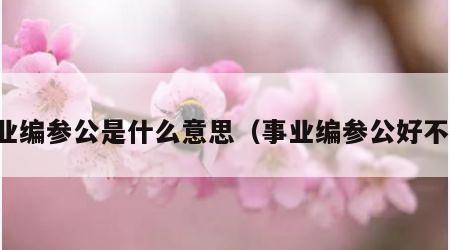 事业编参公是什么意思（事业编参公好不好）