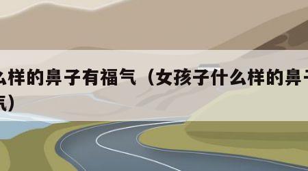 什么样的鼻子有福气（女孩子什么样的鼻子有福气）