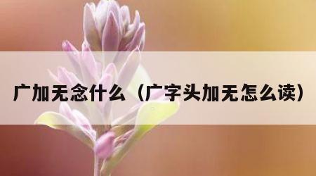 广加无念什么（广字头加无怎么读）