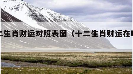 十二生肖财运对照表图（十二生肖财运在哪方位）