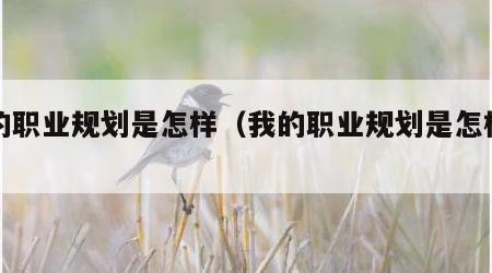 我的职业规划是怎样（我的职业规划是怎样的）