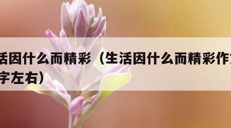 生活因什么而精彩（生活因什么而精彩作文800字左右）